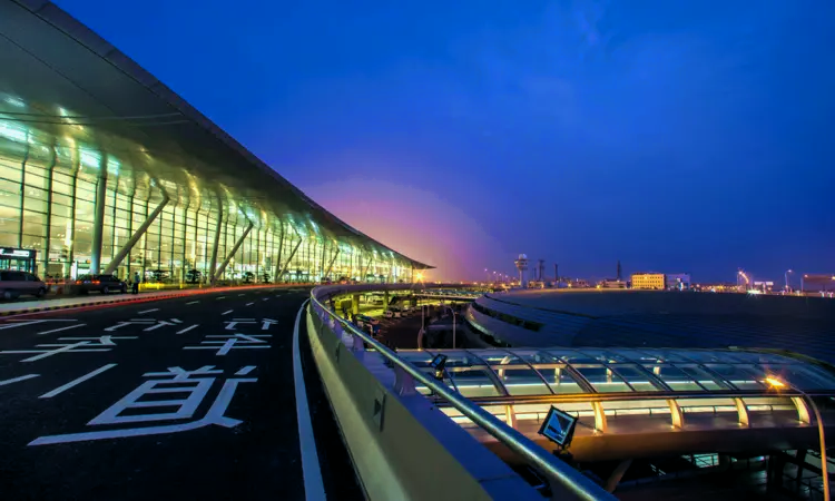 Nanjing Lukou International Airport